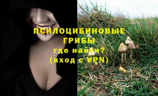 PSILOCYBIN Балахна