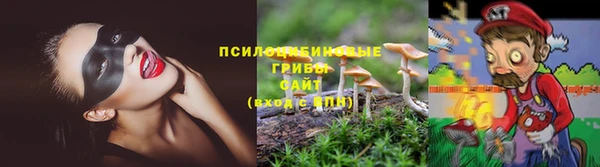 мяу мяу мука Армянск