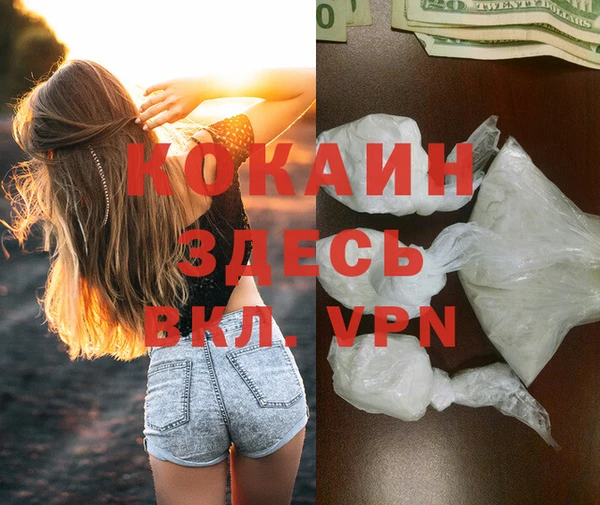 мяу мяу мука Армянск